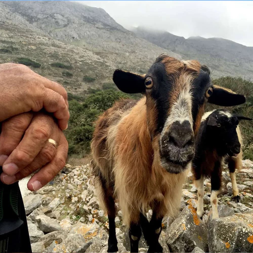 Amorgos hiking 3