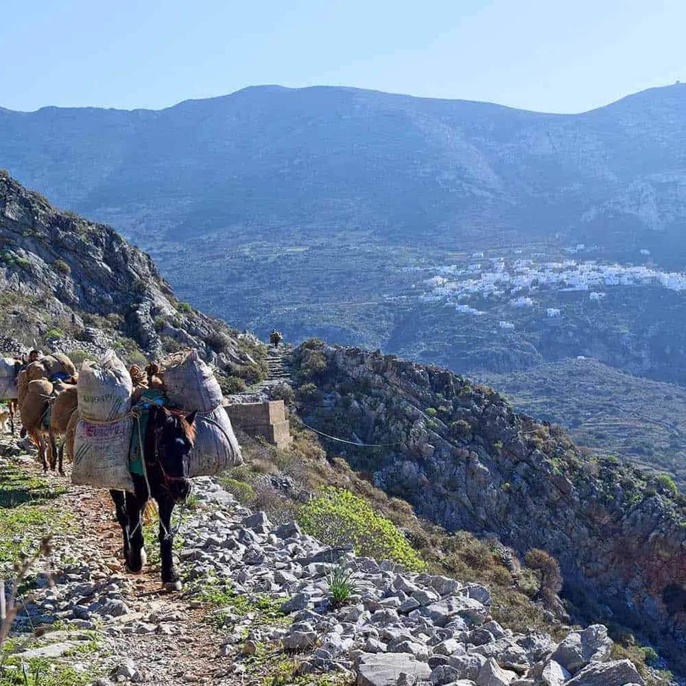 Amorgos hiking 8